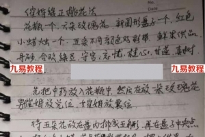 清家门戊己土老师讲解秘传催桃花催姻缘催正缘符咒。