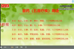 五行音药课程 拂尘子主讲，‮药音‬‮程⁠课‬‎合集录音 百度云下载！