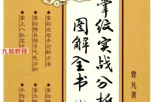 鲁凡手纹《掌纹实战分析图解全书》三册pdf 共818页 百度云下载!