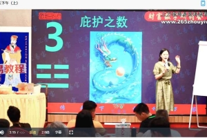 徐子辰《数字能量学研讨会》11集视频 百度云下载！