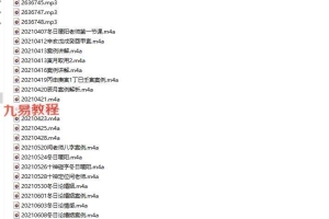 冬日暖阳讲课基础、中级、高级资料pdf +录音课程3套 百度云下载！