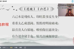 灯明易海《盲派八字探秘花根赋》20集视频 百度云下载！