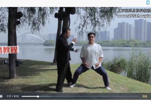 阎子龙 筑基功法（龙虎一炁功）视频10集 百度云下载！