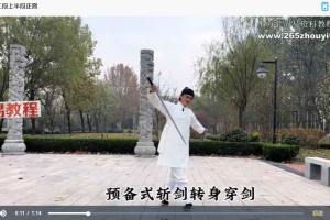 弦月剑法  单手剑剑法  剑术基本功+整段教学-节数【45】集视频 百度云下载！