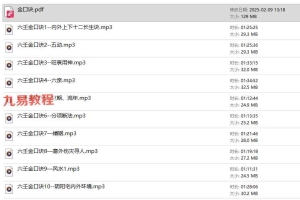 金口诀李林升【11个金口诀音频+5个大六壬音频+资料】百度云下载！