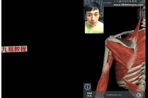 【高级放松课】之《轻松肩颈》高低肩/肩内扣/翼状肩/肩周炎 百度云下载!