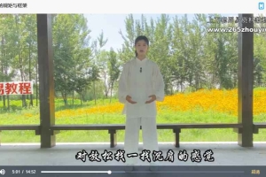 美女老师太极7套视频合集 古武传承功法 百度云下载!
