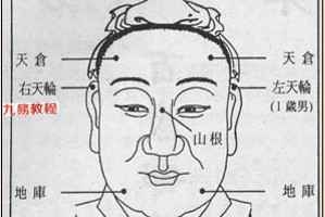 百岁100岁流年图.pdf 225页 百度云下载!