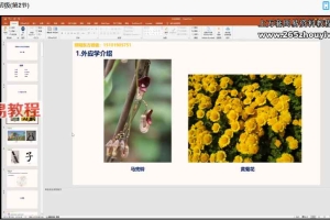 照明居士外应学初级课程视频10集 百度云下载!
