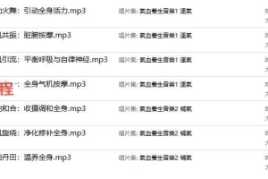张永智皇家复方_ 气血养生音乐课程录音7集 百度云下载！