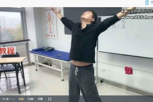 《吕祖法脉金丹及七星聚阳功法传承》线上面授视频课程6集 百度云下载!