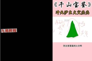林来景千山宝鉴视频50集+课件pdf 百度云下载!