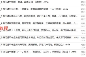叶飘然·奇门遁甲实战特训营录音8集+课件 百度云下载！