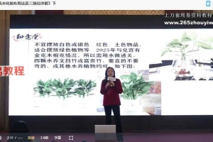 姜鲁宜 2025九宫飞星风水布局法视频两集 百度云免费下载！