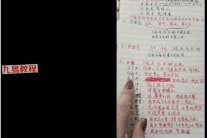 小凤仙一掌经课程视频30集+讲义pdf 百度云下载！