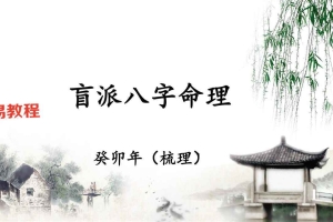 催老师催文举崔老师盲派八字笔记(5000元).pdf 百度云下载!
