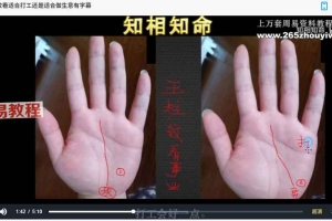 知相知命零基础学手相18集+手相进阶 视频课 百度云下载！