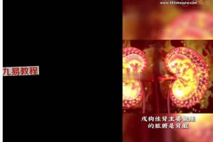 中华龙文化《龙道传承》视频15集 百度云下载!
