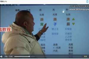 文老师《四柱八字之婚姻篇》169集视频 百度云下载！