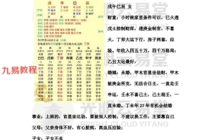 云易直播4个文档pdf 百度云下载!