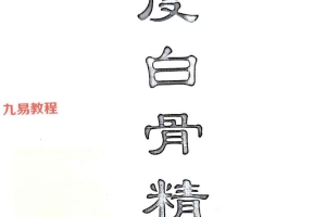 印度白骨精法.pdf 18页 百度云下载！