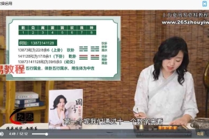 赵嘉敏《二十八袖里乾坤易学实战课》16集视频 百度云下载!