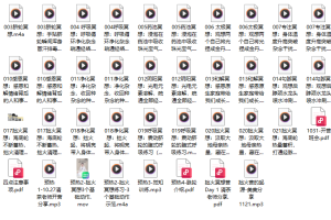 21天拙火冥想录音+3集视频+文档pdf 百度云下载!