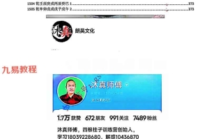 段建业体系 弟子传承班培训图.pdf 373页 百度云下载！