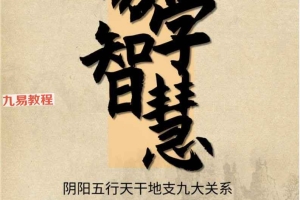 夏大师(青雲老师)易学智慧入门资料88页.pdf 百度云免费下载!