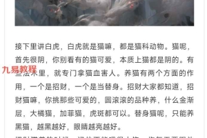 南派七叔 灵宠pdf 百度云下载！