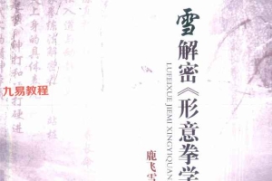 鹿飞雪解密形意拳学3册+孙禄堂《形意拳学》pdf 百度云下载!