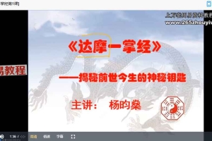 杨昀燊—达摩一掌经课程视频7集 百度云下载！