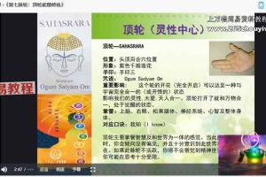 7天脉轮筑基共修营3月6日(惊蛰)开营w2 视频7集 百度云下载!