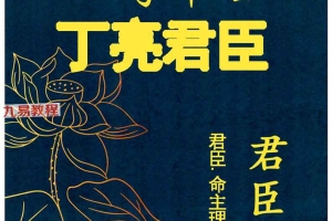 丁亮君臣 命主理论讲义汇编.pdf 526页 百度云下载！