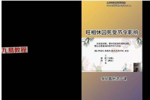 易秀《金口诀开悟》21集视频约1.5小时 百度云下载!