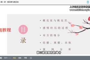 【洛元】紫微斗数感情专题课【原版】视频5集 百度云下载！