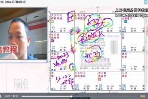 庐州玄武-紫微斗数初中级函授课程2025视频60集（周星飞弟子）百度云下载！