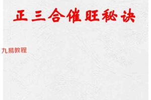 杨家成宇光真师-《正三合催旺秘诀秘籍绝无雷同》350页.pdf 百度云下载!