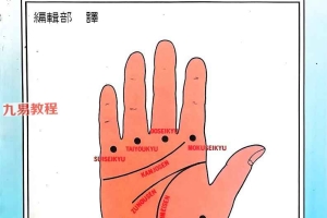由手相看健康.pdf  209页 百度云下载！