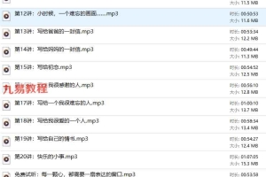 Z庄慧秋：我手写我心——自由书写与自我治疗20讲音频 百度云下载！