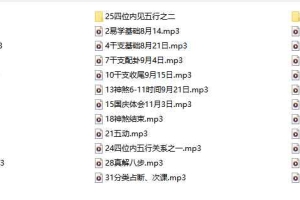 米鸿宾 大六壬金口诀:2009年国庆至2010年1月期间共90个小时录音 百度云下载!