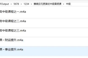 蔡婉云元辰宫初中级音频课 百度云下载!
