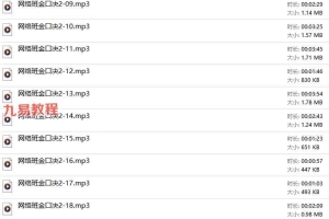 王凤麟 初级网校-网络班金口决录音 百度云下载！