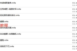 Lisa 听音乐也能减肥？没错！外网超火的潜意识减肥音乐来了！音频8集 百度云下载1