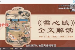 许联斌《雪心赋》解读33集视频 百度云下载!