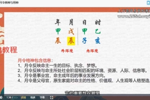 陈源瀚25年 乙巳年子平传授课程104集视频 百度云下载!