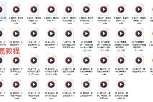 紫微斗数系统进阶班_38集音频 百度云下载！