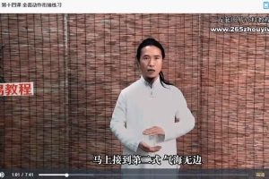 颜法坤【太乙真气秘法】视频29集 百度云下载！