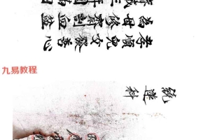 绕莲科17页.pdf 百度云下载！