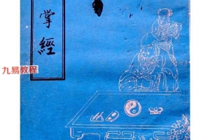神机灵数一掌经秘传一掌经指南拨雾集200案例104页.pdf 百度云下载!